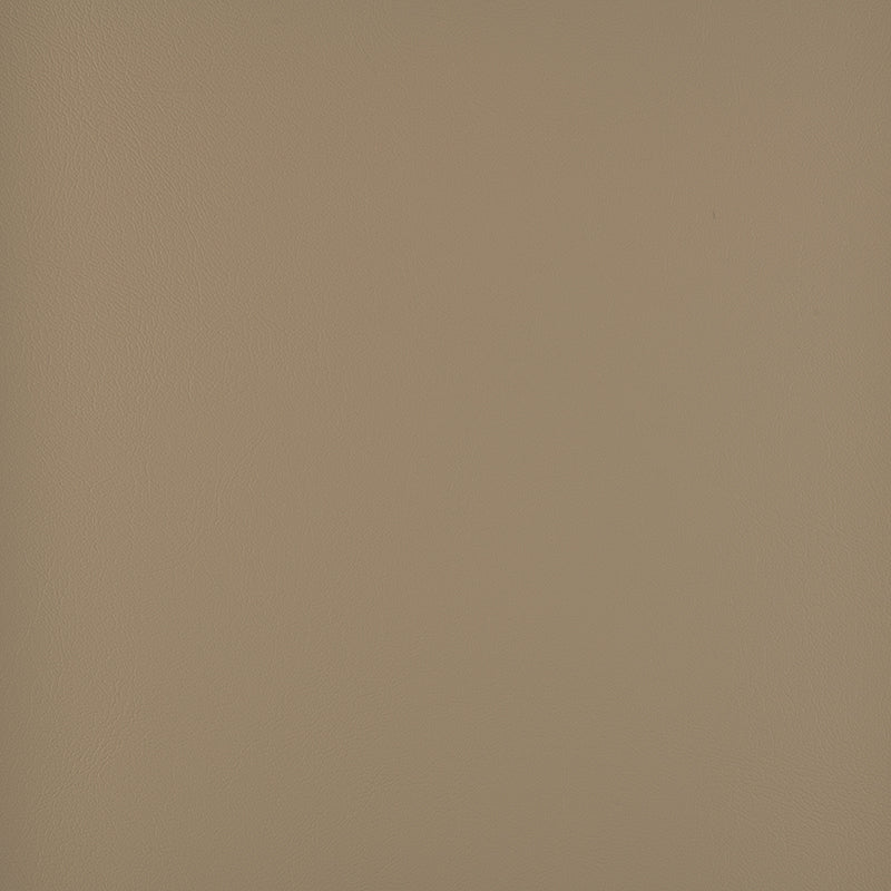 Atlantis Fossil 20012