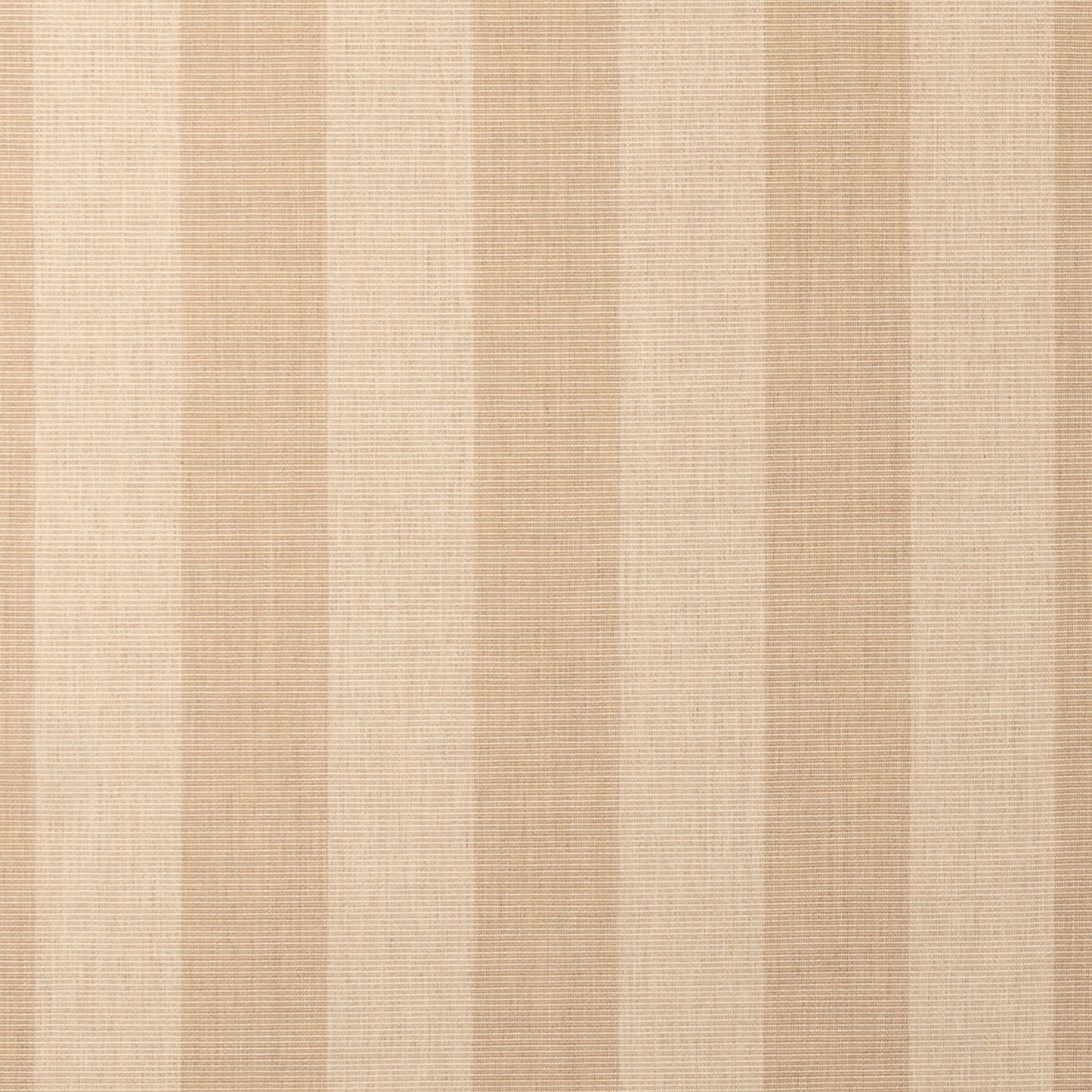 Expressive Sparrow 14121-0000