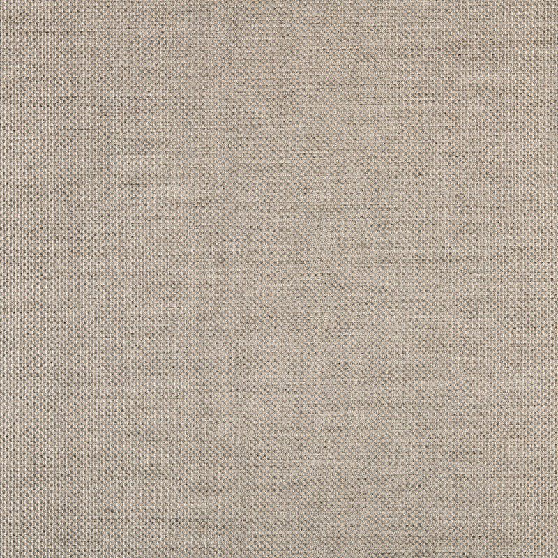 Panama Fossil 3659-00