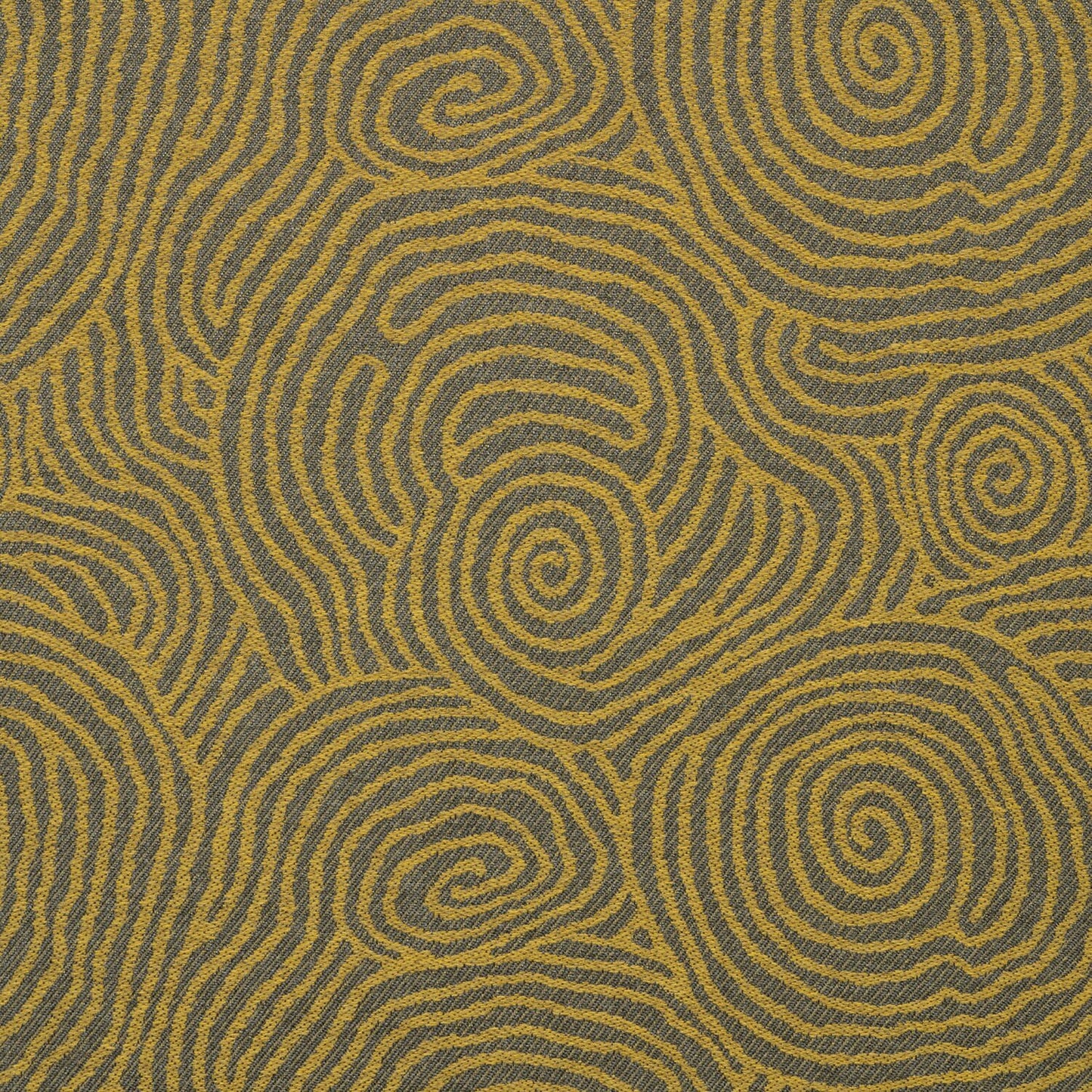 Lotus Maize 44495-0002