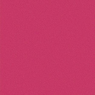 Flagship Raspberry 40014-0105