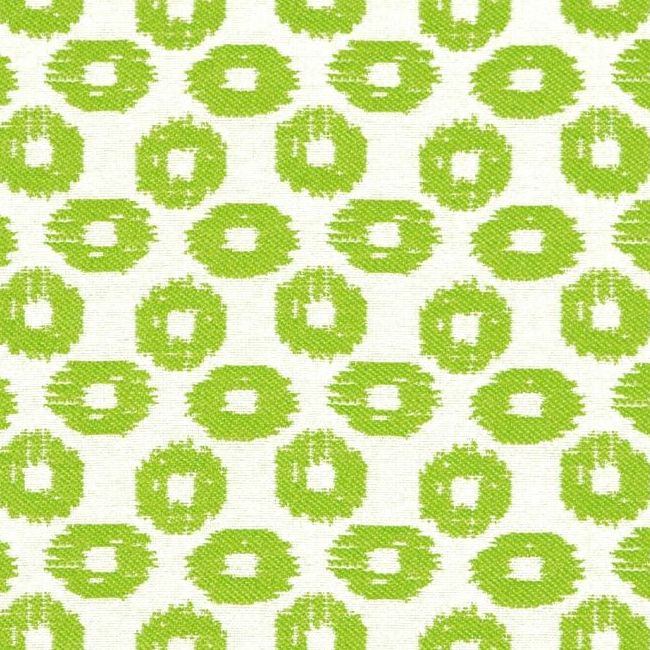 Sea Cucumber Island 28134