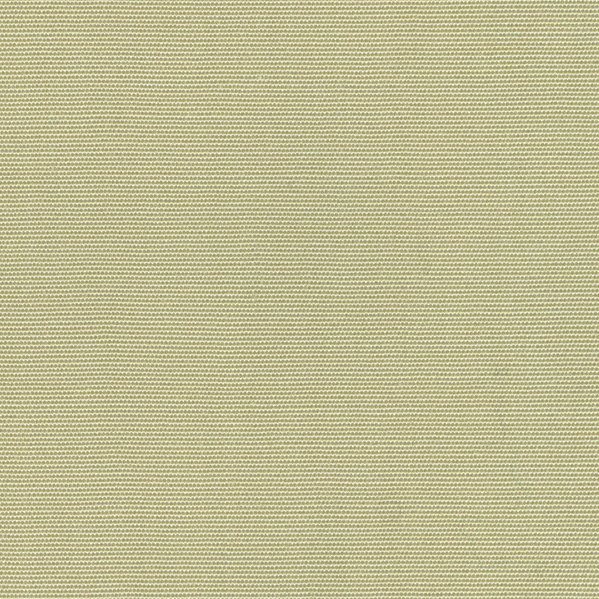 55" SENS D-115 Solid Cream
