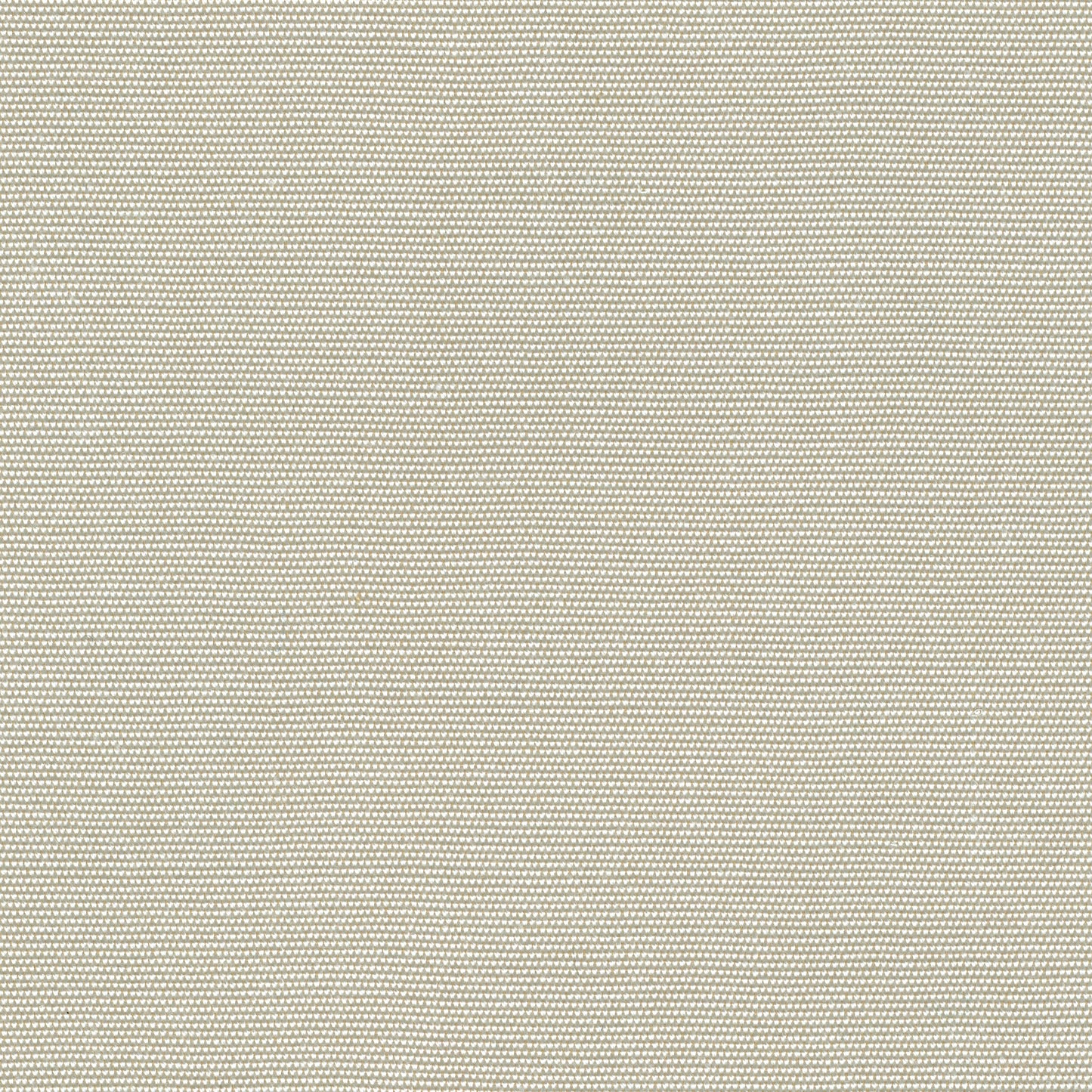 55" SENS D-117 Solid Raw