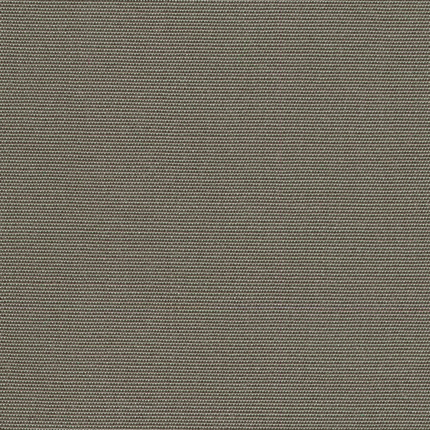 55" SENS D-161 Solid Grey