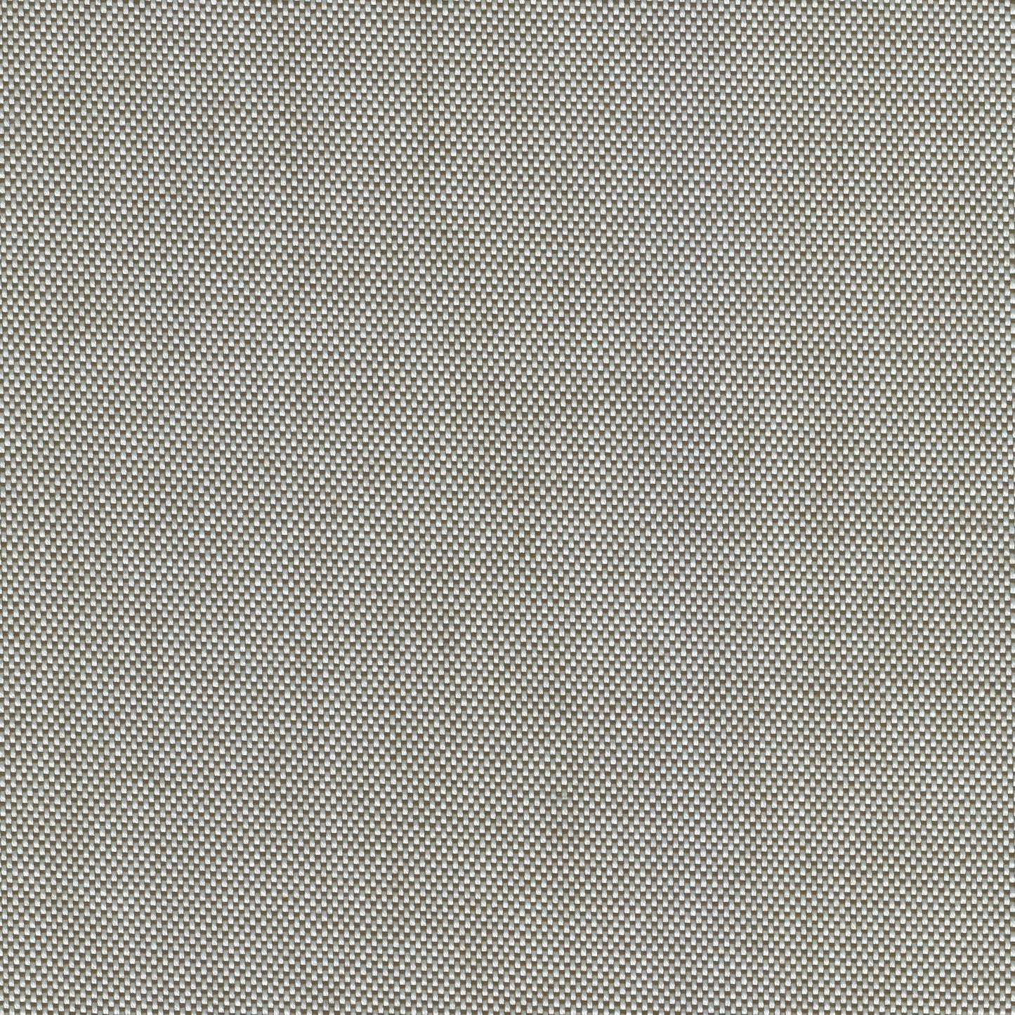 55" SENS D-243 Eternal Tapenade