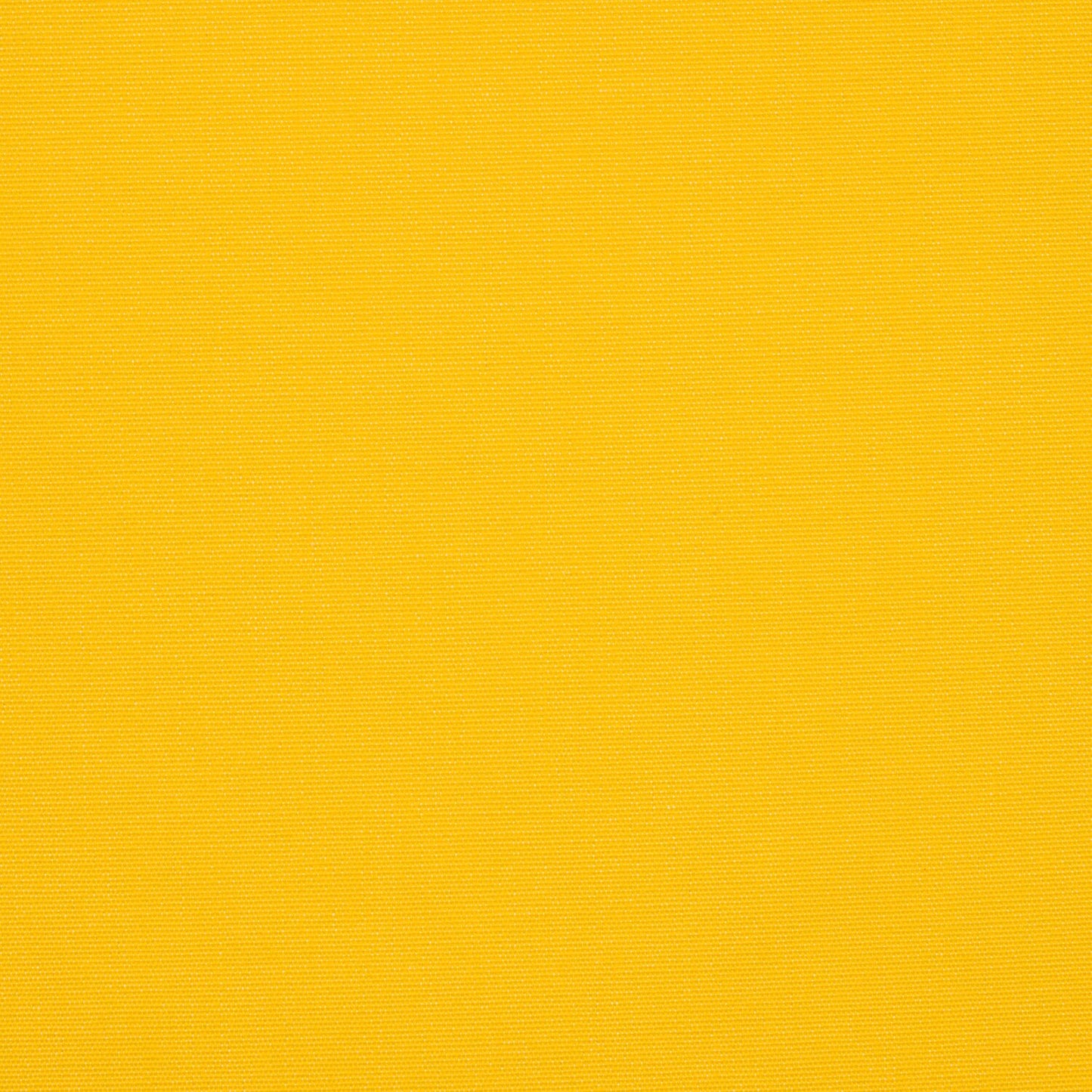 Sunflower Yellow C4602