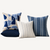Cerulean Collection Pillow Set