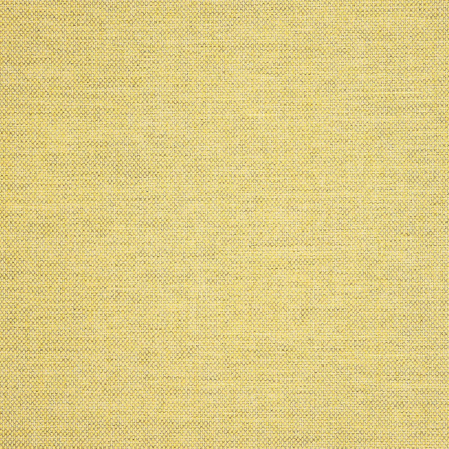 Idol Canary 40487-0025