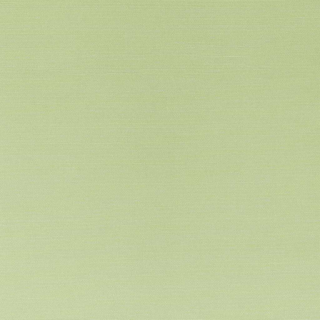 Light green sheer outdoor fabric
