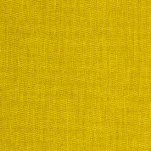 Marlow Dijon Tulip-Mar1000