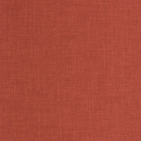 Marlow Persimmon Tulip-Mar1600