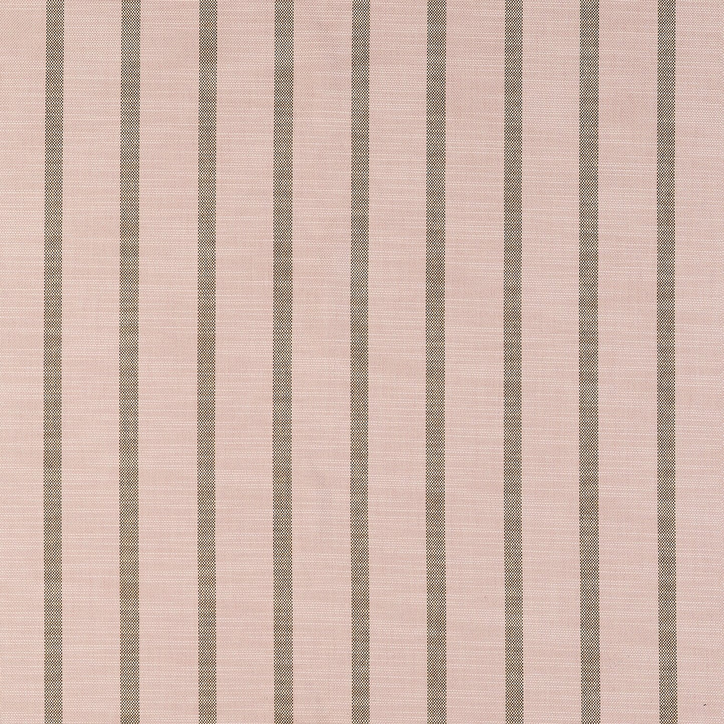 brown and pink stripe
