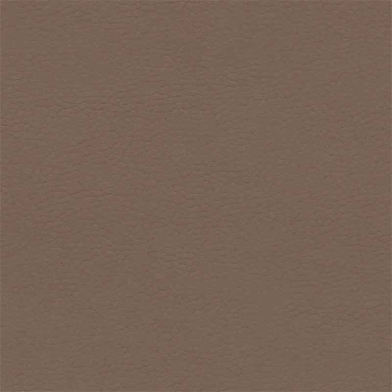 Dusty Earth 640-3881