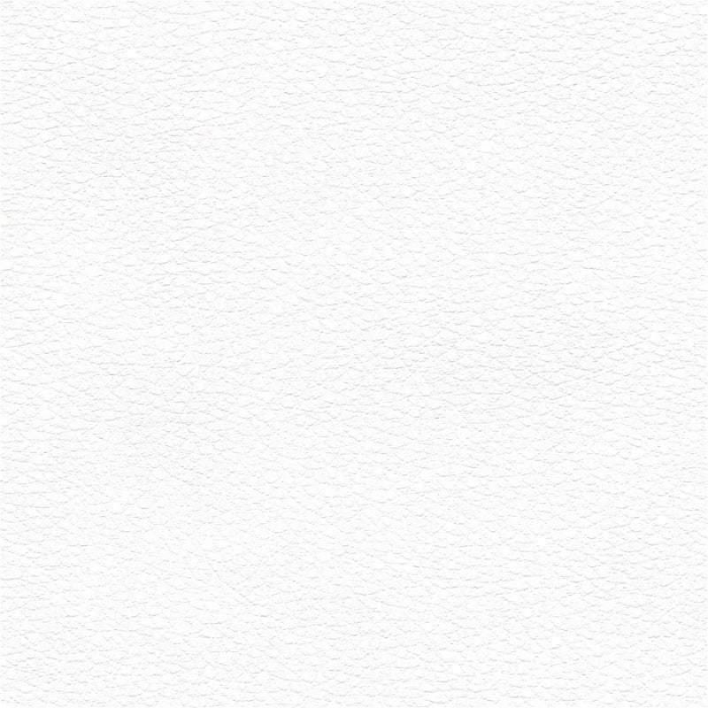 White Shore 497-0047