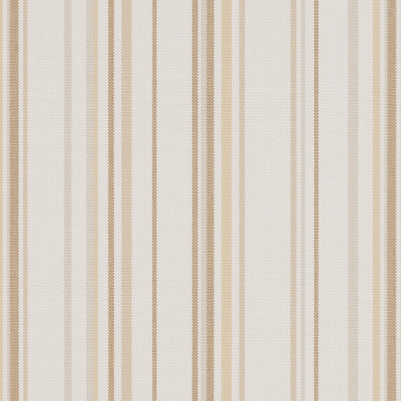 Thunder Bone 8016-100