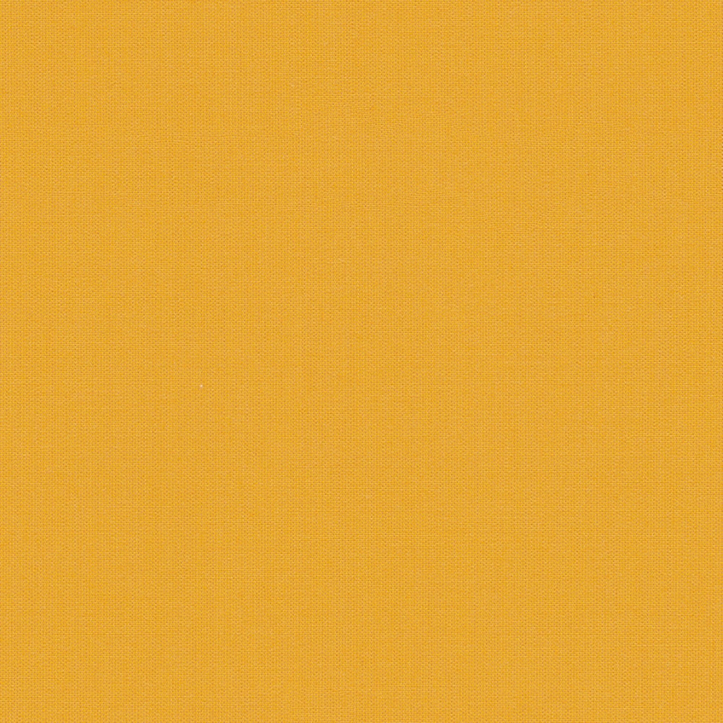 Mimosa SJA 3938 137 MIMOSA