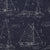 Point of Sail Navy 145736-0003