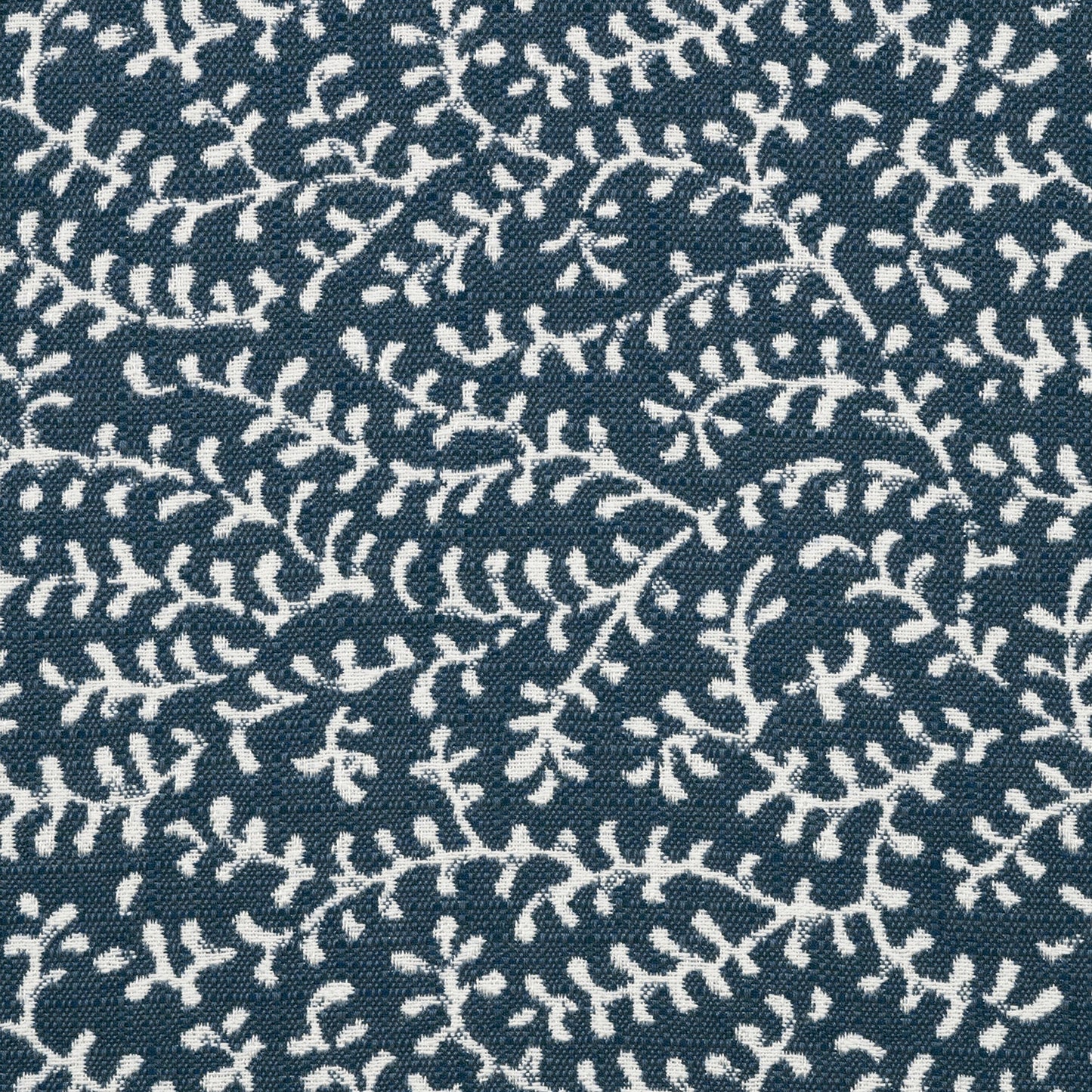 Eberly Peacock 146266-0003