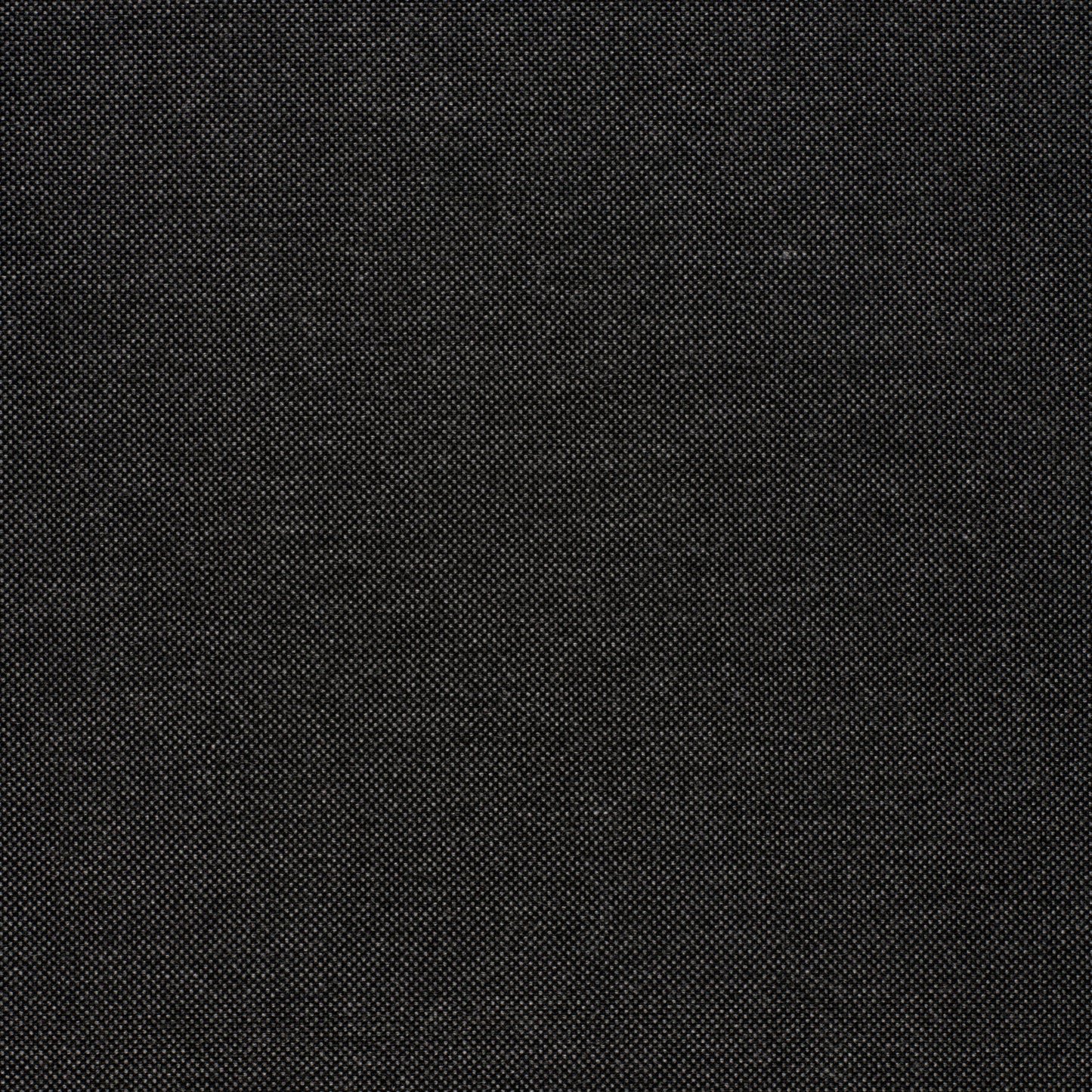 Panama Hollin-HQ 1779-00