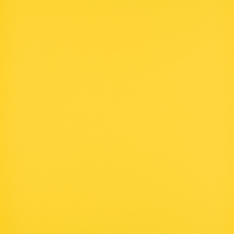 Atlantis Canary 20011