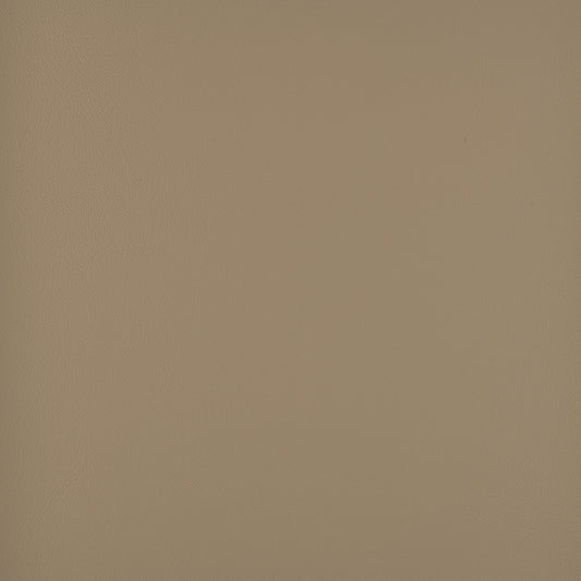 Atlantis Fossil 20012