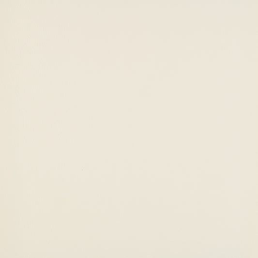 Atlantis White 20013