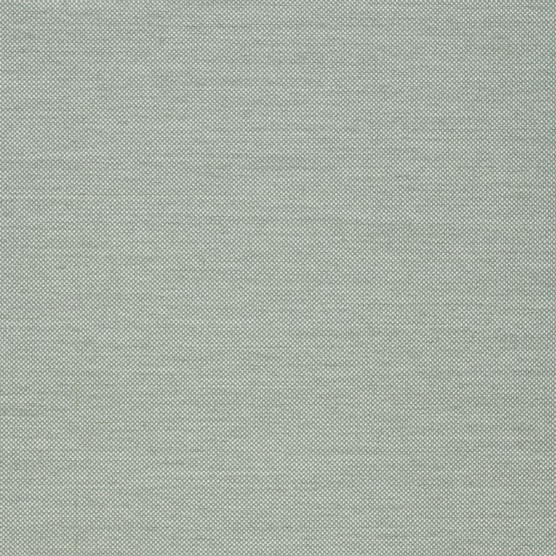 Panama Salvia 20081-00