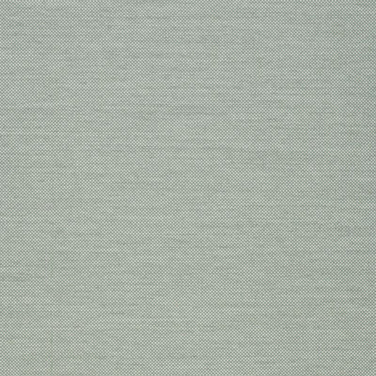 Panama Salvia 20081-00