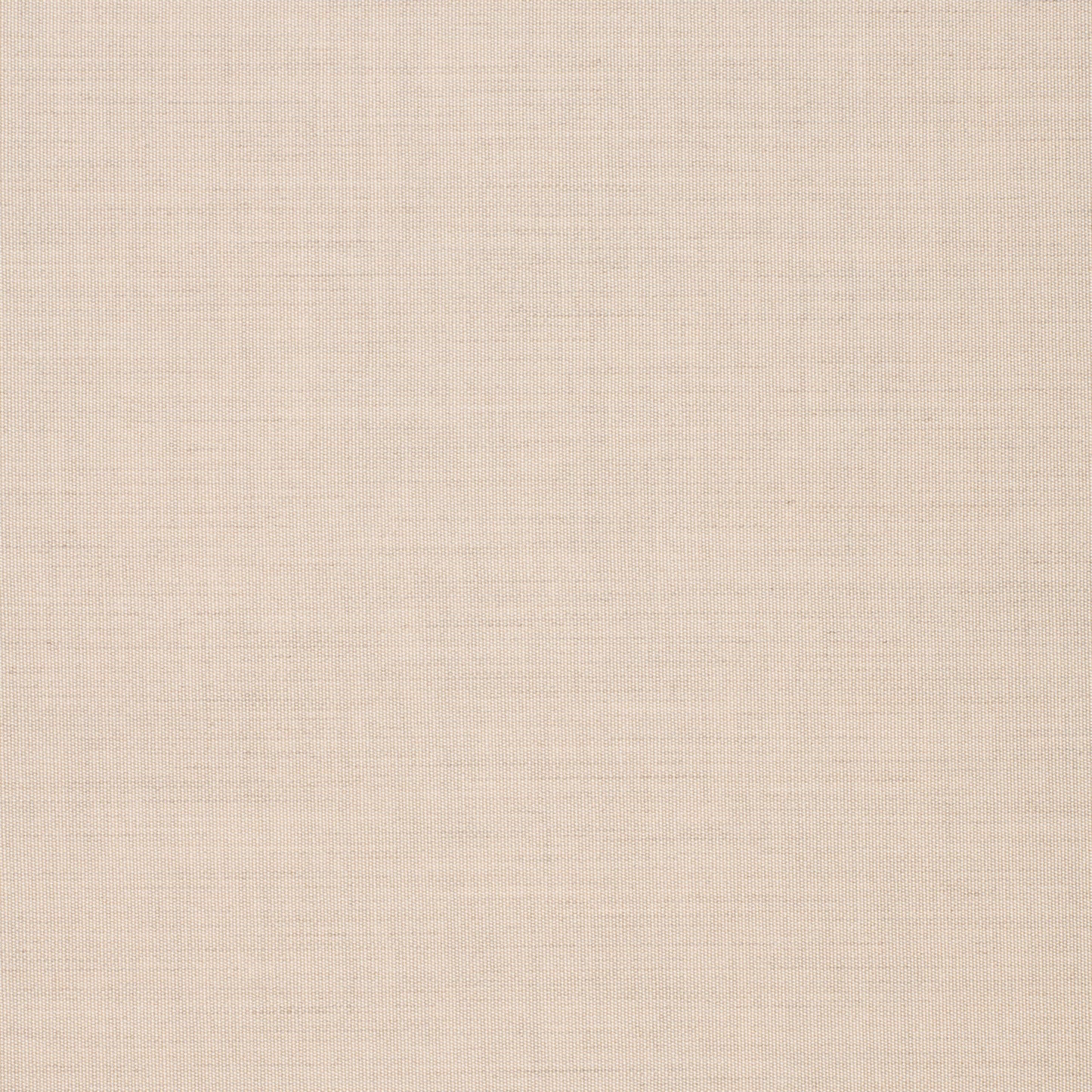 Liso Pergamino 20098