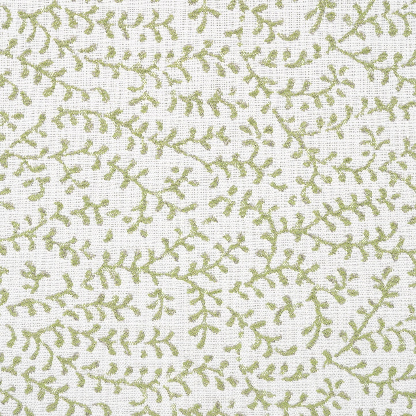 Eberly II Spring 146267-0003