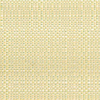 Beach Acid Green 28106