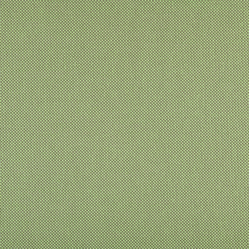 Panama Grass 3665-00