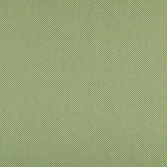 Panama Grass 3665-00