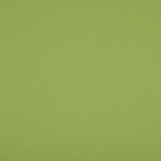 Liso Verde Claro 3726