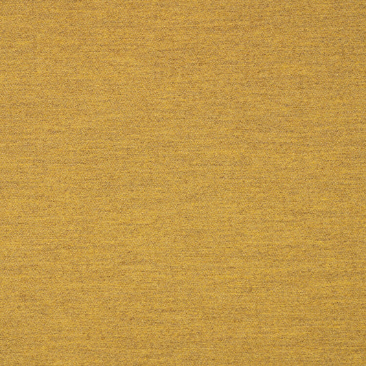 Pashmina Saffron 40501-0008