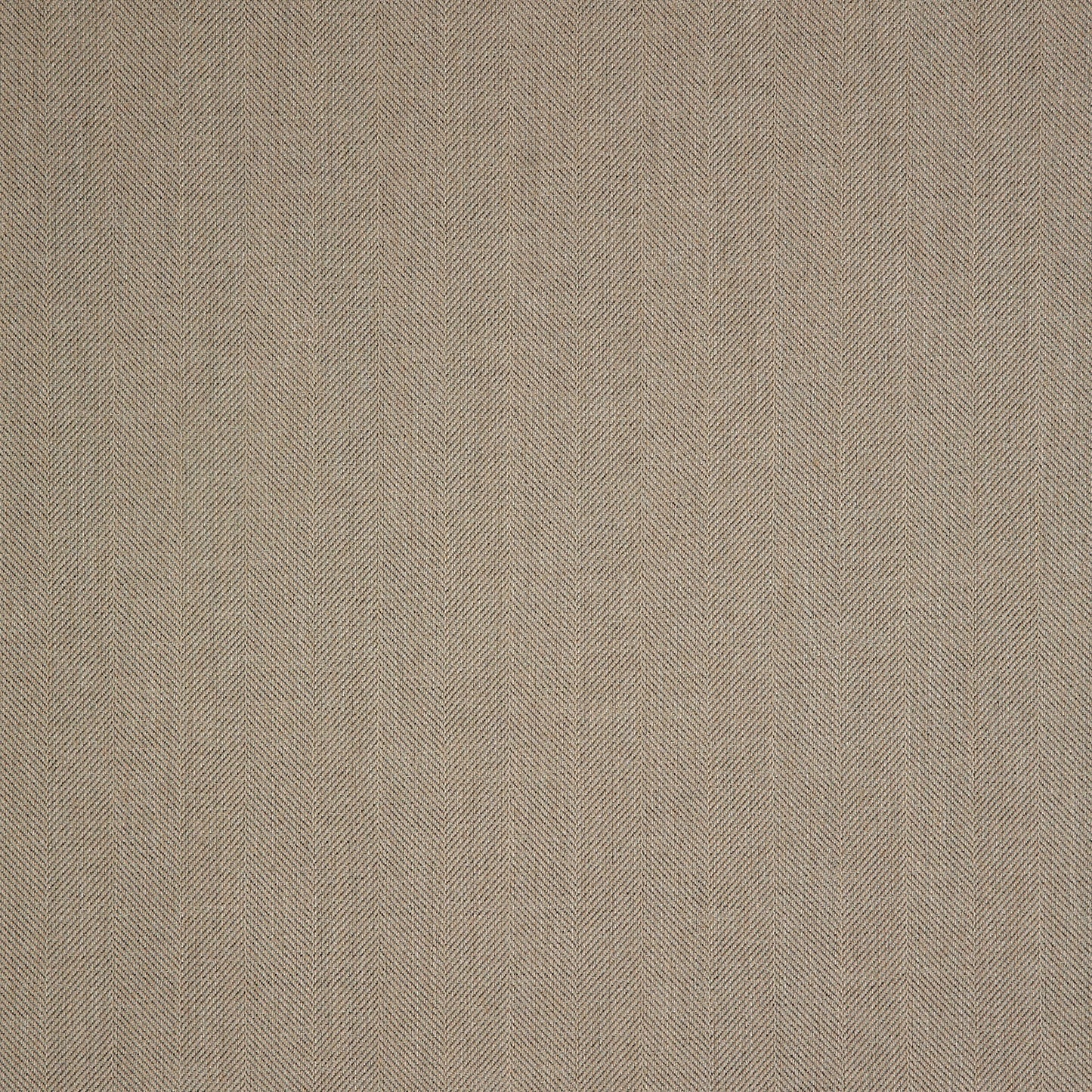 Switch Fawn 40555-0003