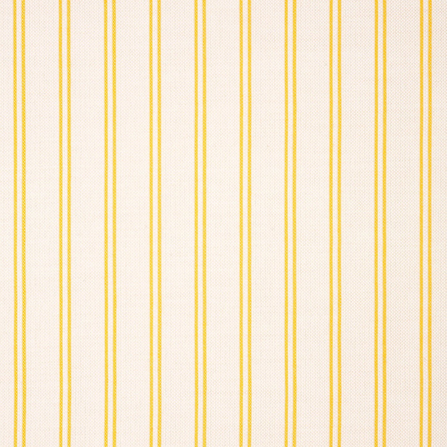 Jibe Sunshine 40576-0001