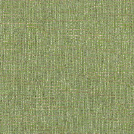 Cassava Spring  44496-0006