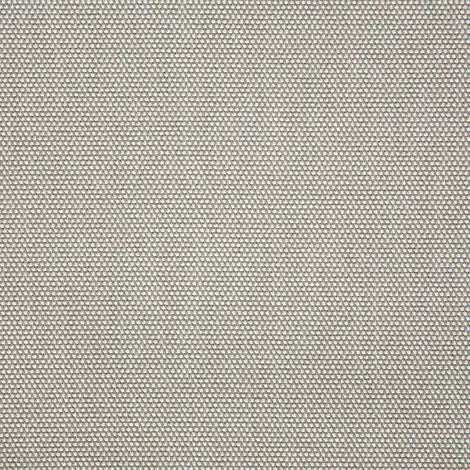 Sailing Seagull  50143-0010