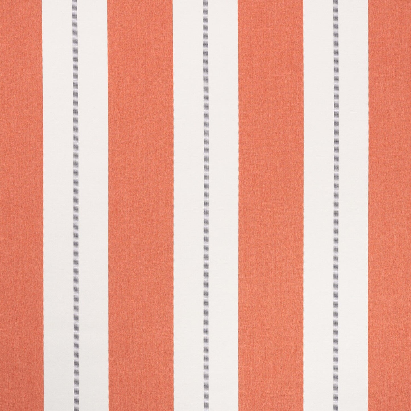 Relate Persimmon 57017-0003