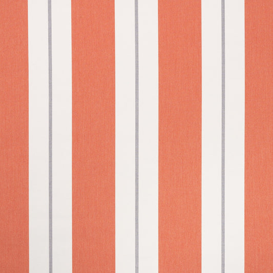 Relate Persimmon 57017-0003