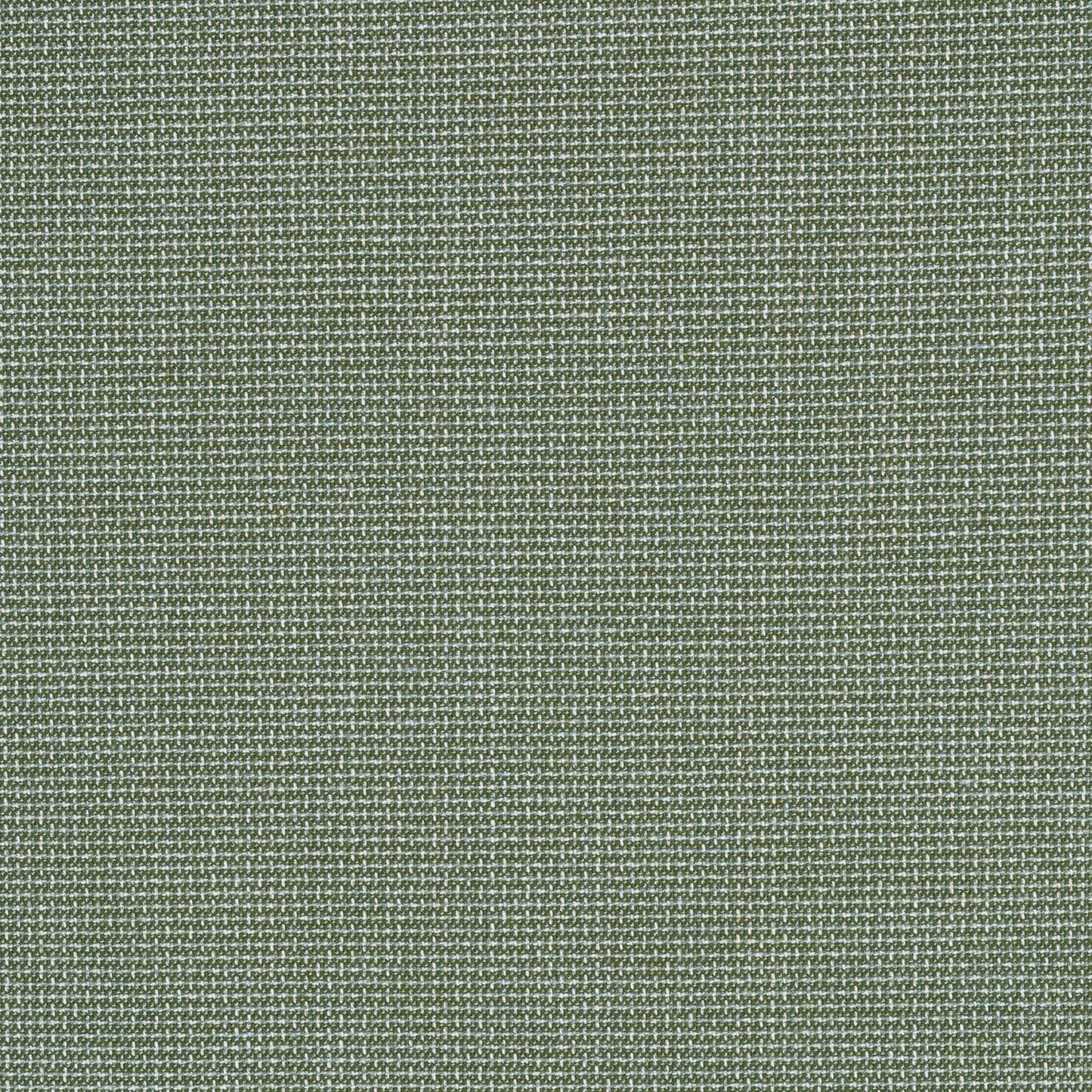 Bliss Aloe 48135-0017