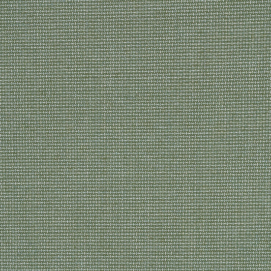 Bliss Aloe 48135-0017