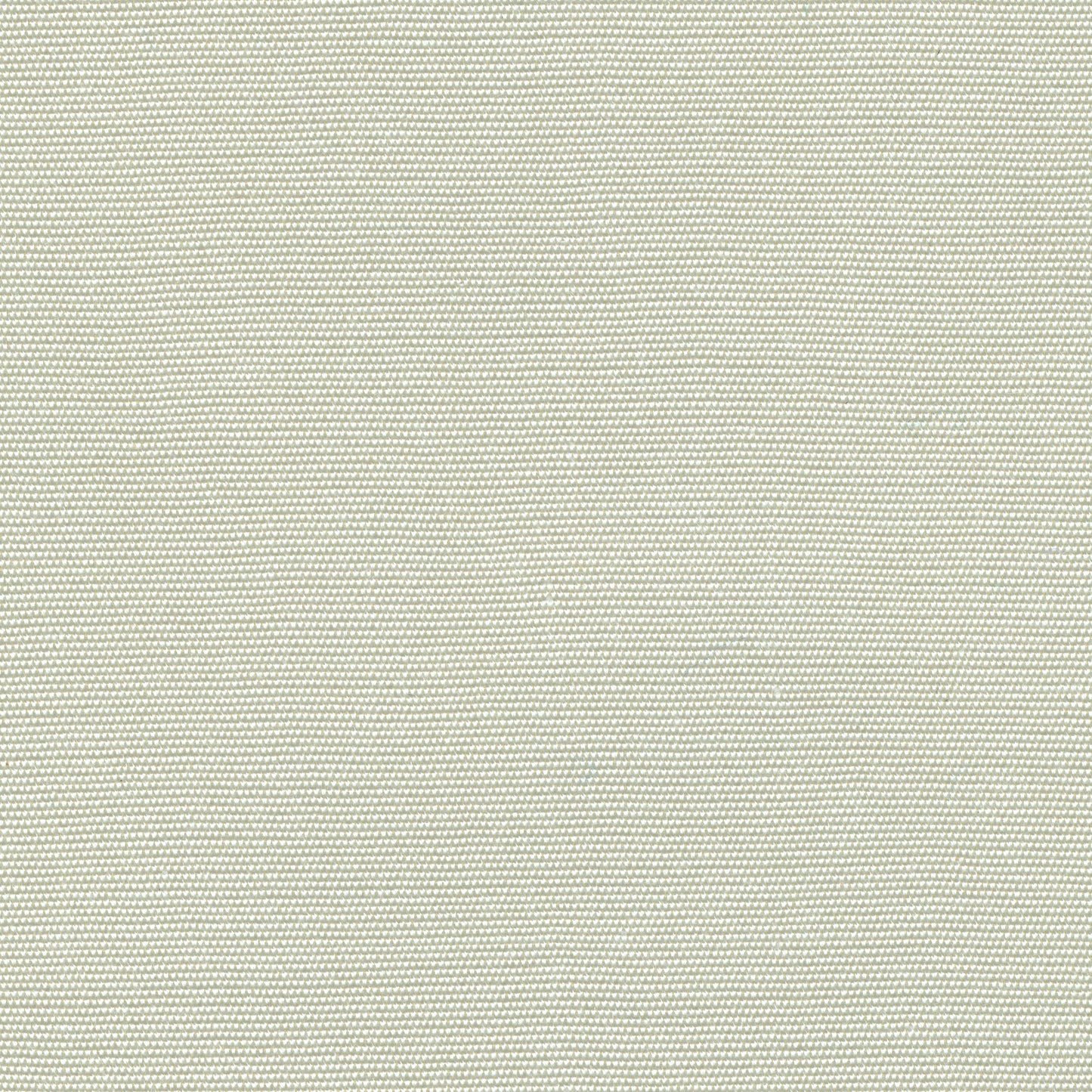 55" SENS D-122 Solid Seashell