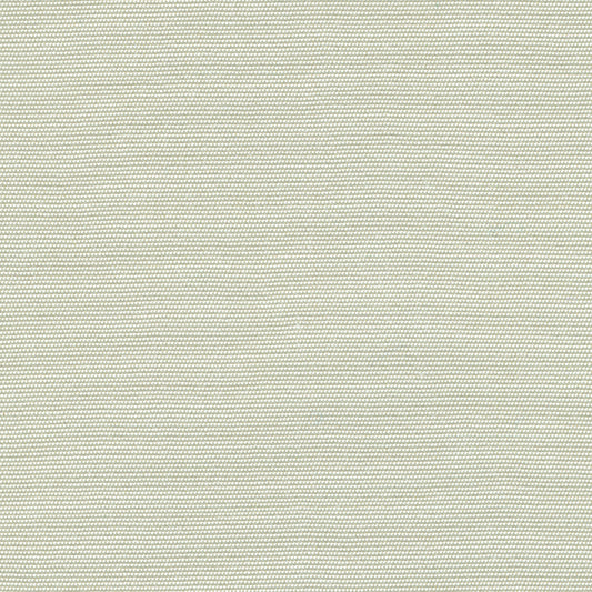 55" SENS D-122 Solid Seashell