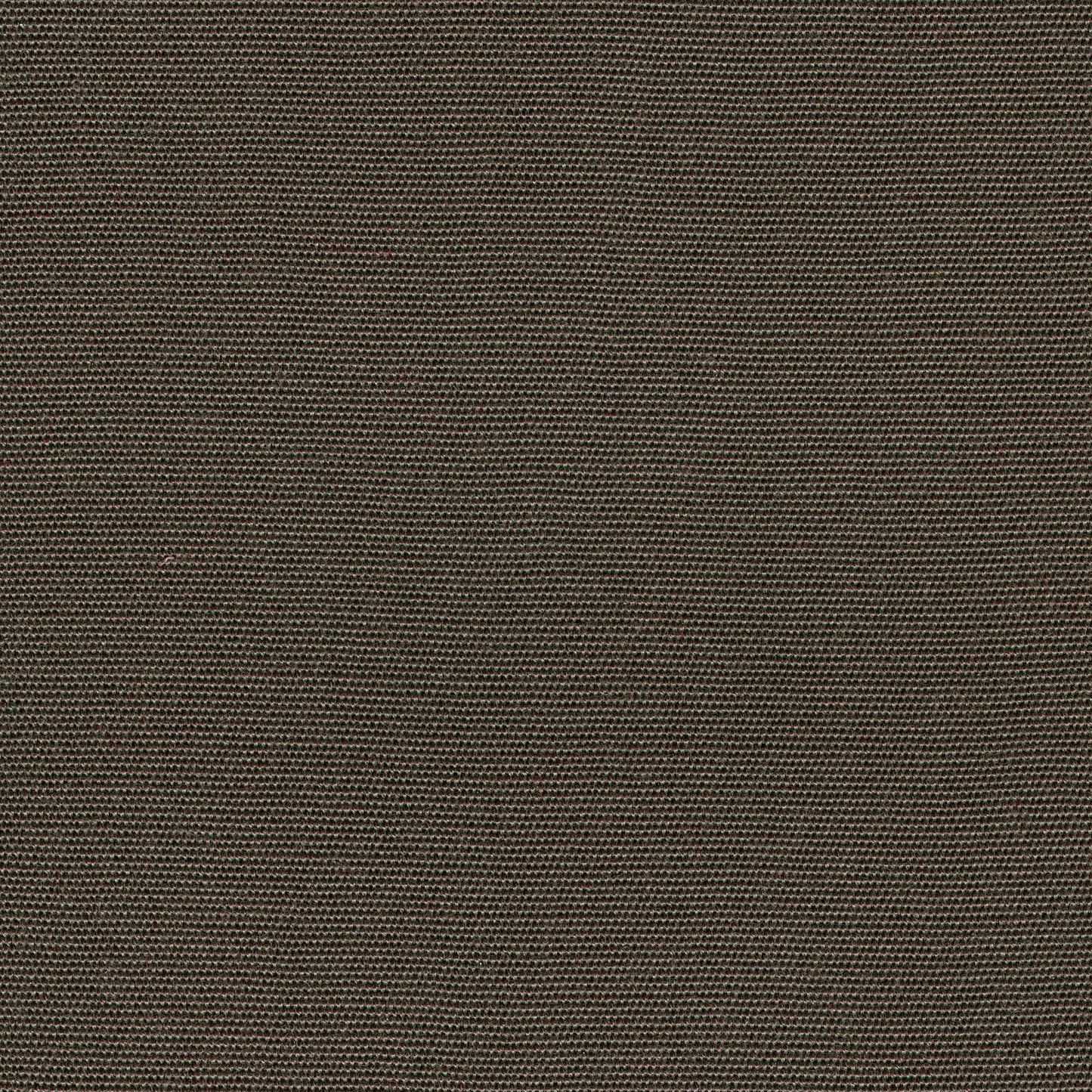 55" SENS D-127 Solid Moonrock