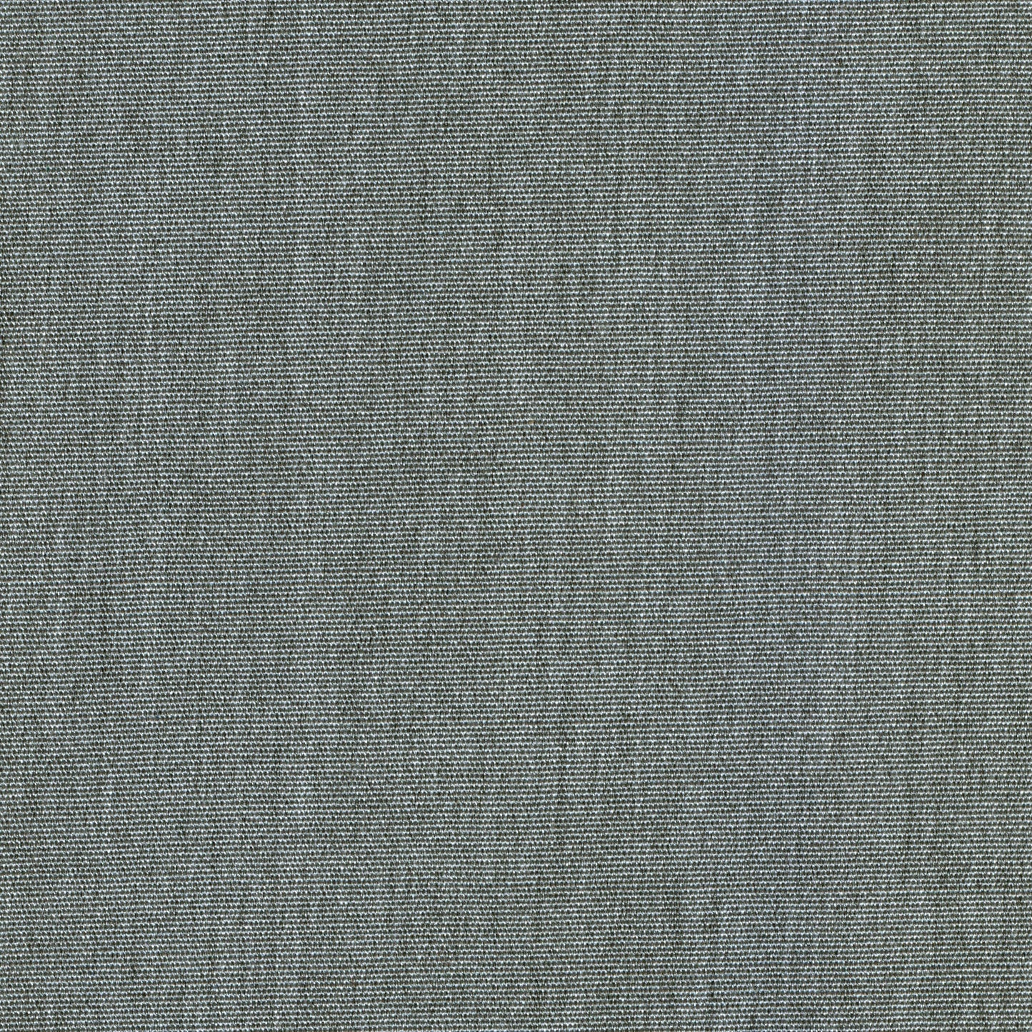 55" SENS D-196  Solid Titanium
