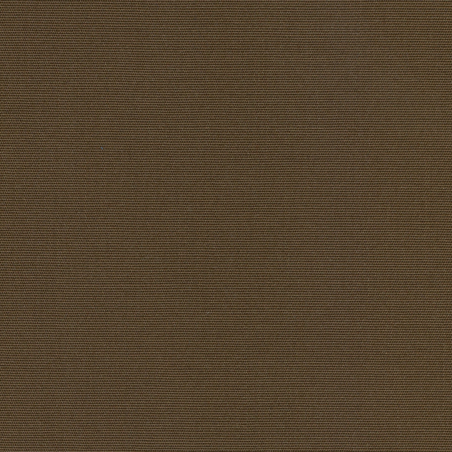 55" SENS D-201 Solid Hickory