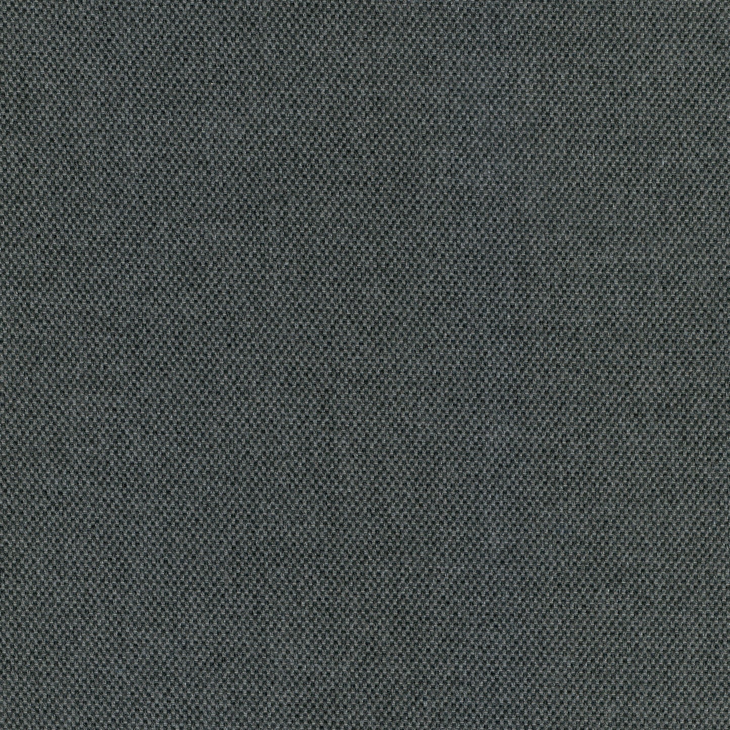 55" SENS D-024 Eternal Ash